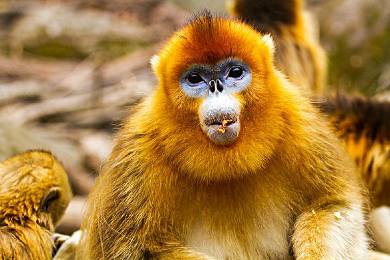 2024年是不是闰月年_2016年10月16日_那年有润月年