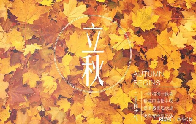 日历节气表2024_日历节气表2021_节气2023日历表