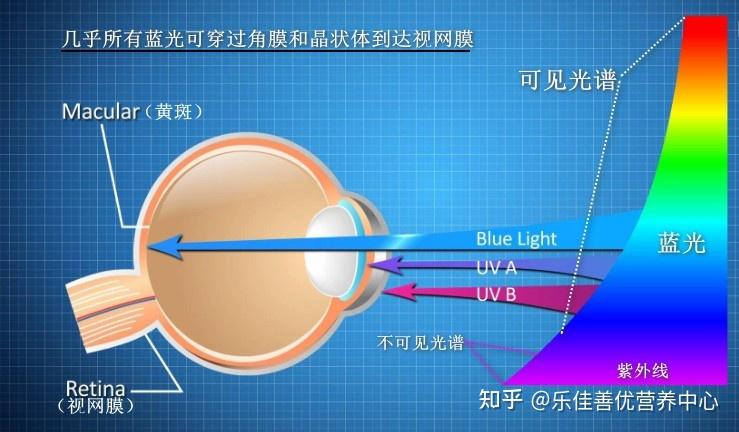 用手机做游戏卡点视频软件_手机视频不卡游戏卡怎么回事_视频卡软件点手机做游戏会卡吗
