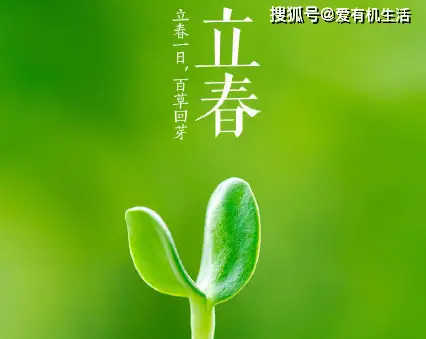 铁火辉夜_铁火辉夜_铁火辉夜