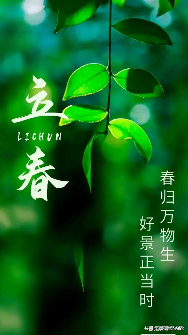 铁火辉夜_铁火辉夜_铁火辉夜