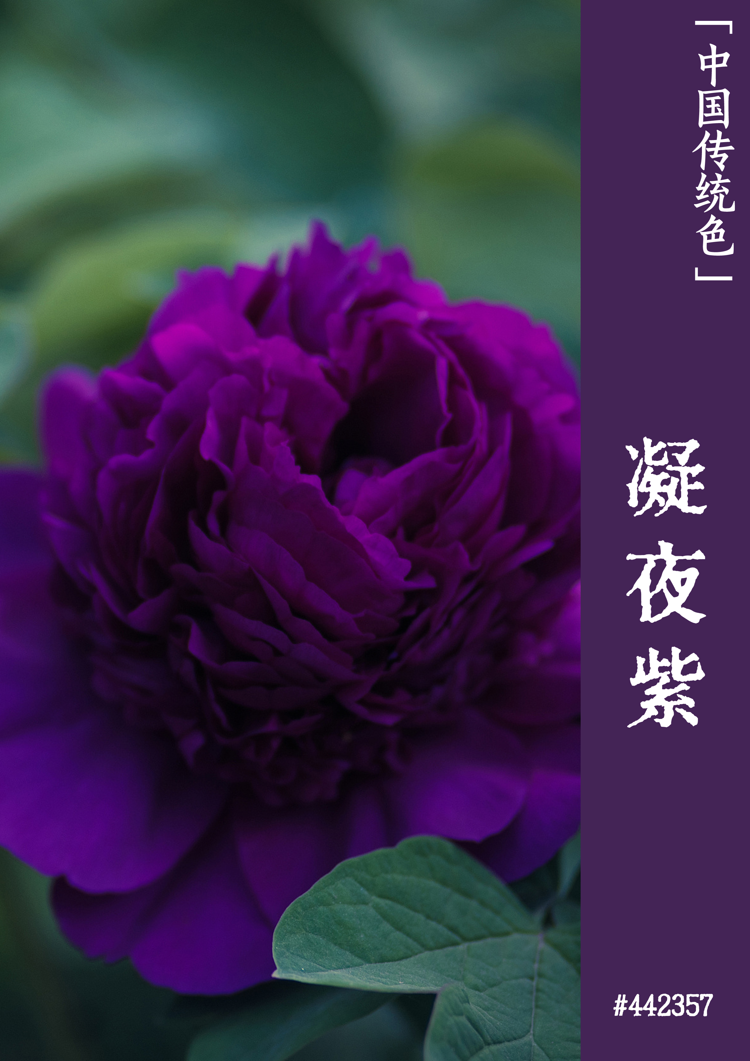 瑞波币今日行情走势图2019_瑞波币走势分析_瑞波币行情走势