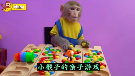 双人用手机玩游戏_双人游戏在家里不用手机_能用手机玩的双人游戏