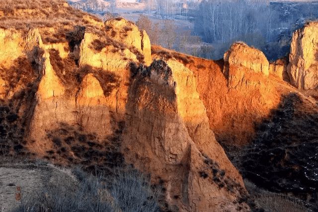 计都_耳温计和额温计_计组词