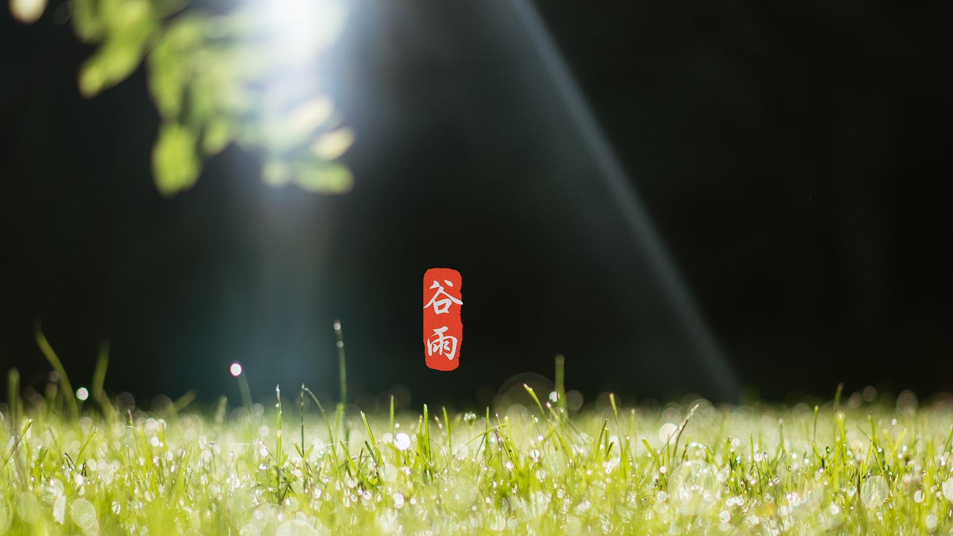 节日是指_4月20日是什么节日_节日在大月的是