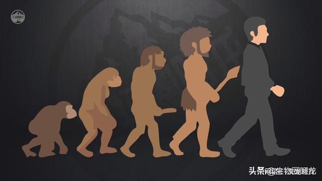 游戏《孢子》手机版_孢子手机游戏_孢子游戏有手机版