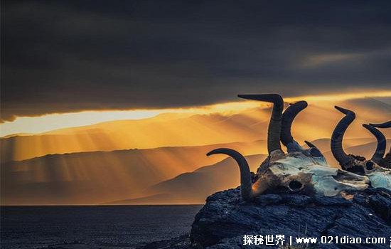黑暗路基艾尔王的图片_黑暗路基艾尔多高_黑暗路基艾尔