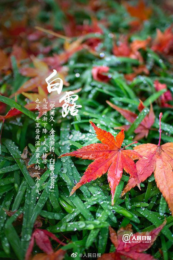 白露是什么时候_白露是什么季节什么意思_白露是在几月几日
