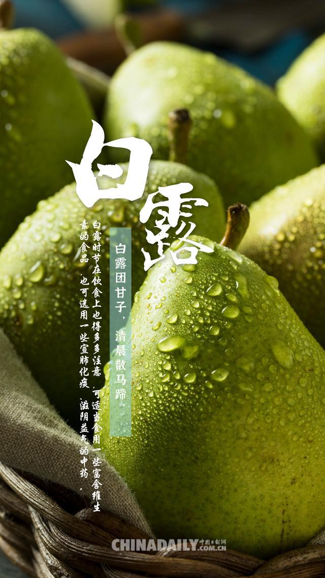 白露是在几月几日_白露是什么时候_白露是什么季节什么意思