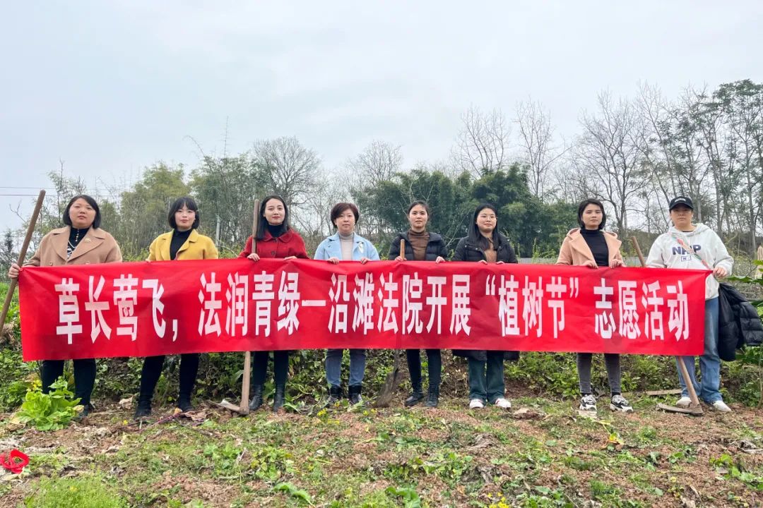 植树节是多少月多少号_植树节是多少月多少日星期几_植树节是几月几号