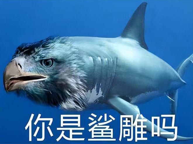 类守望先锋的游戏_先锋守望类手机游戏有哪些_守望先锋类的手机游戏
