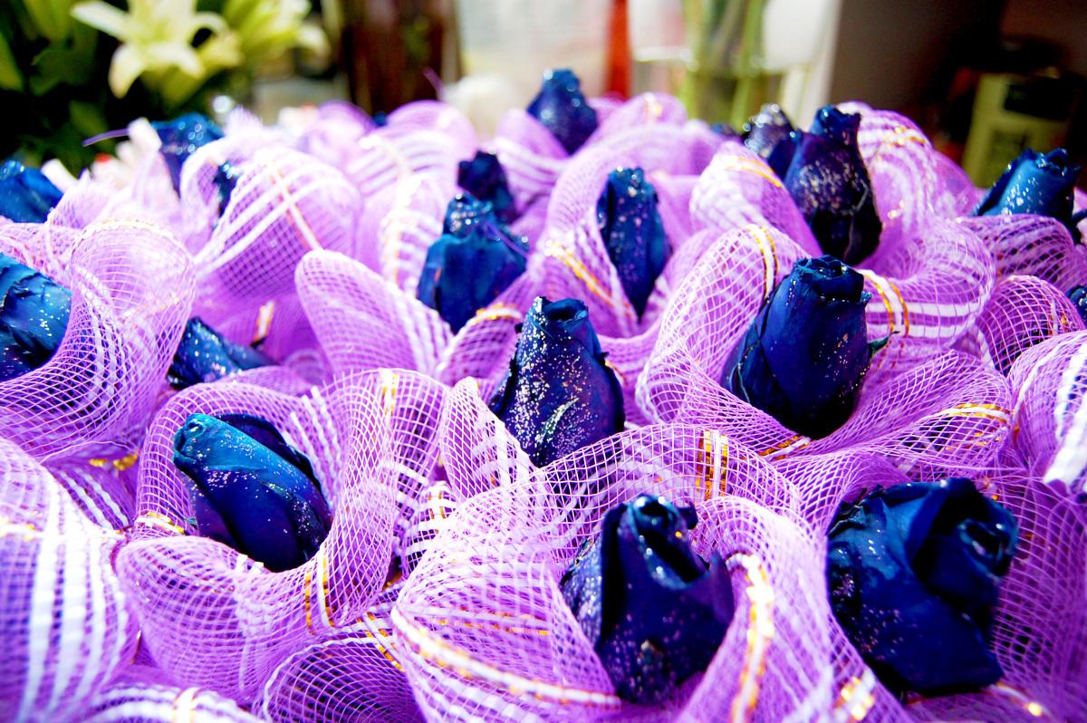 永不落幕的前奏诗_落幕之舞_落幕前面加什么词