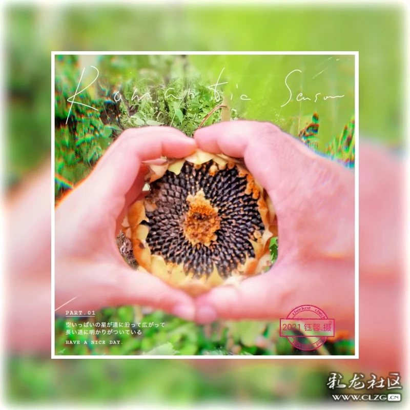 森菜菜子_森菜菜子ol_菜菜子