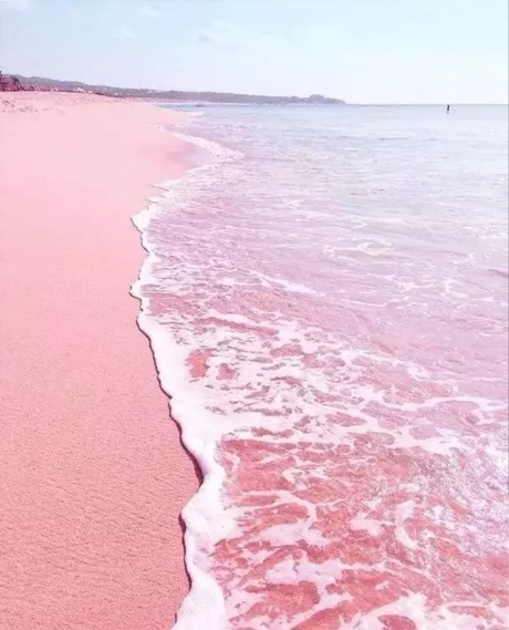 天堂海岸手机游戏_类似天堂海岸的游戏_天堂海滩游戏