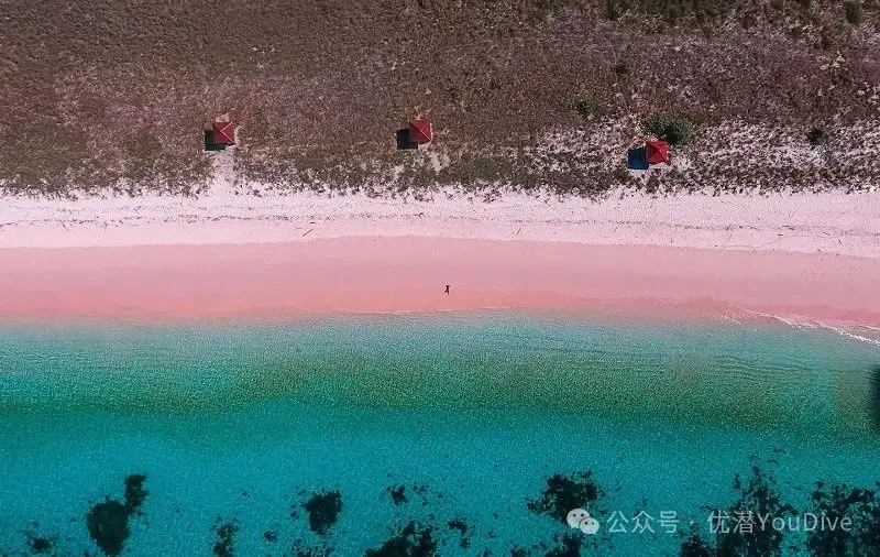 天堂海滩游戏_类似天堂海岸的游戏_天堂海岸手机游戏
