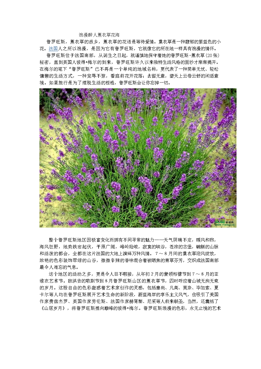 偷心小游戏_偷心游戏解说_偷心游戏手机版