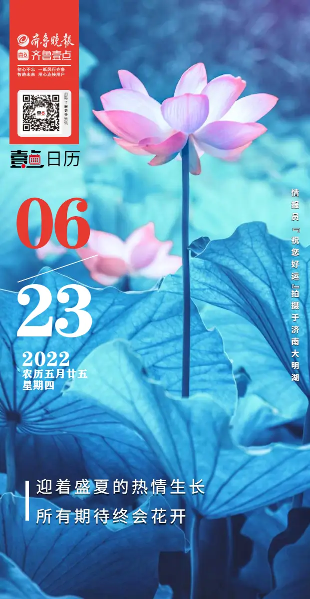 日历无广告_日历表恢复手机桌面_日历日