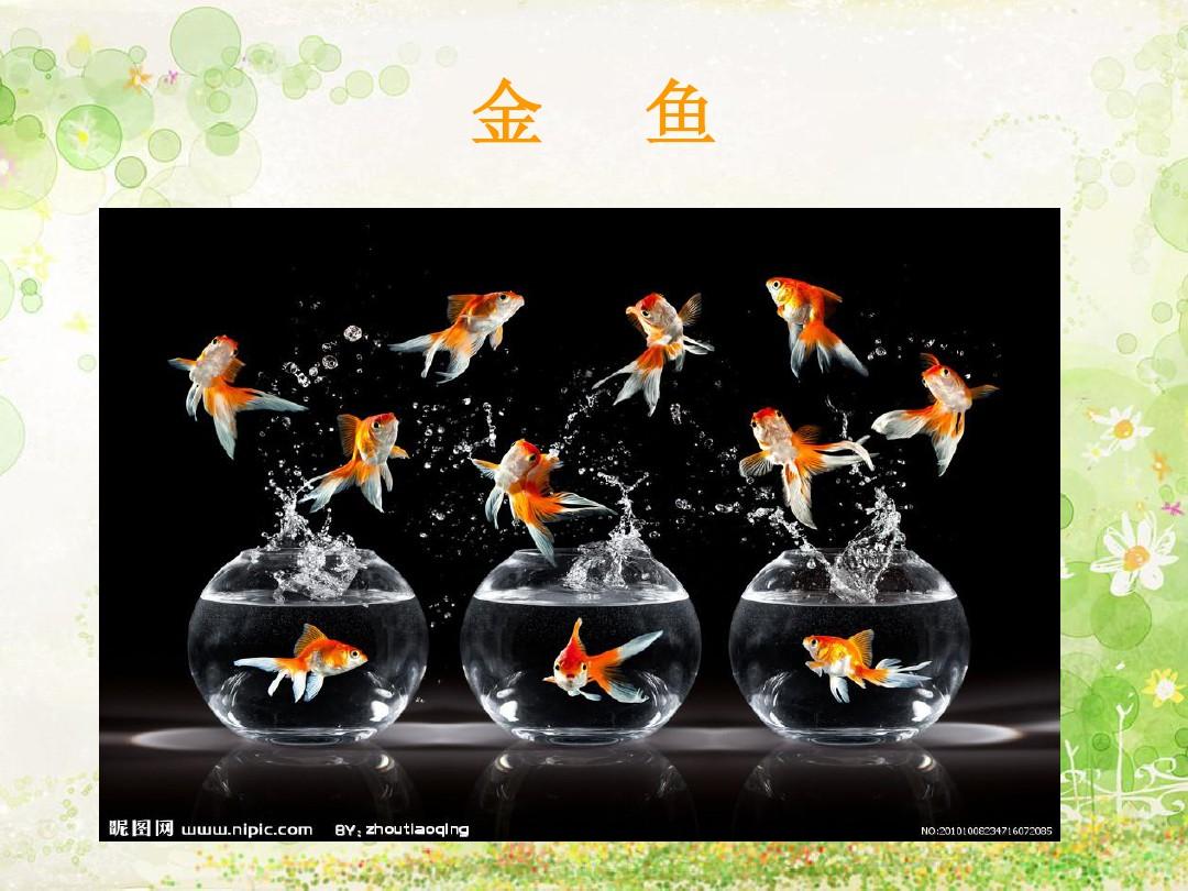 用小米手机玩小猫钓鱼游戏_小猫钓鱼游戏版_小猫钓鱼游戏手机版怎么操作