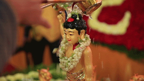 农历四月初八是什么日子_农历初八日子是几月几日_农历初八的日子