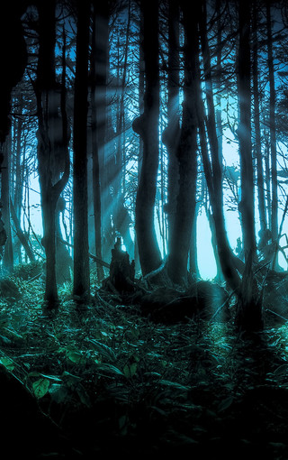 小朋友万圣节游戏_万圣节小孩子在喊什么_万圣节小孩手机游戏叫什么