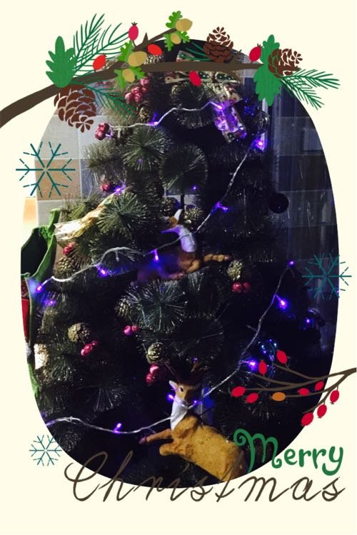 手机装修小家游戏_好玩的装修家游戏_装修家的游戏app