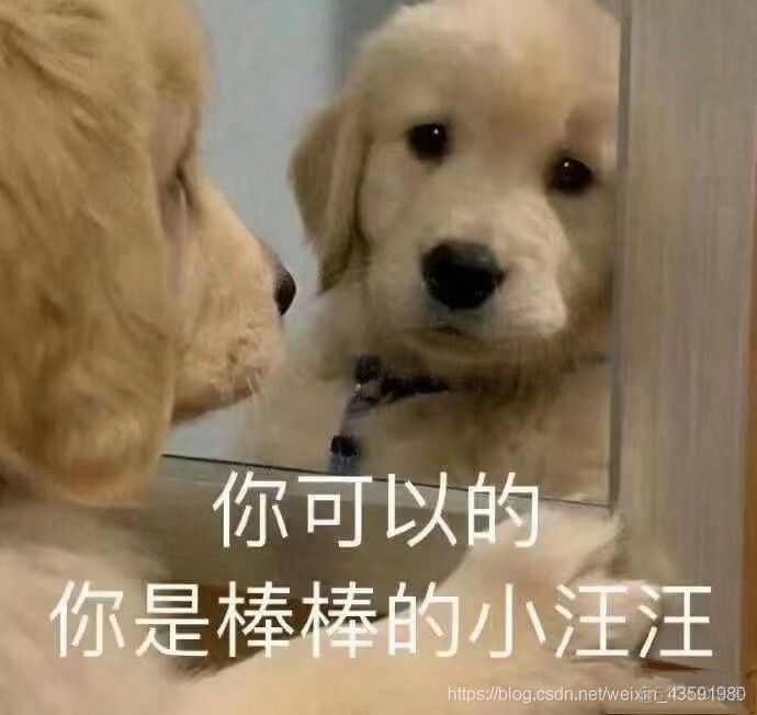 mysql建表时建立索引_在mysql中建立索引用_mysql建索引会锁表吗