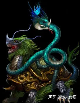 九头龙_肿头龙_头龙痛吃什么药比较好的快