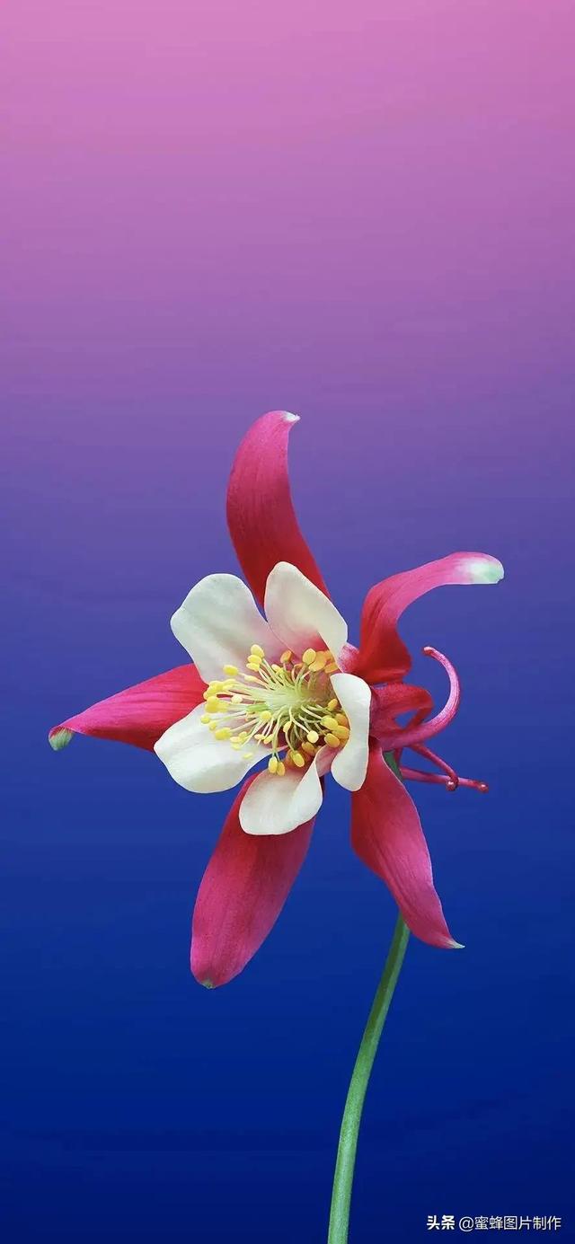 全屏游戏屏幕变蓝_蓝色的游戏手机_一款蓝色的全屏手机游戏