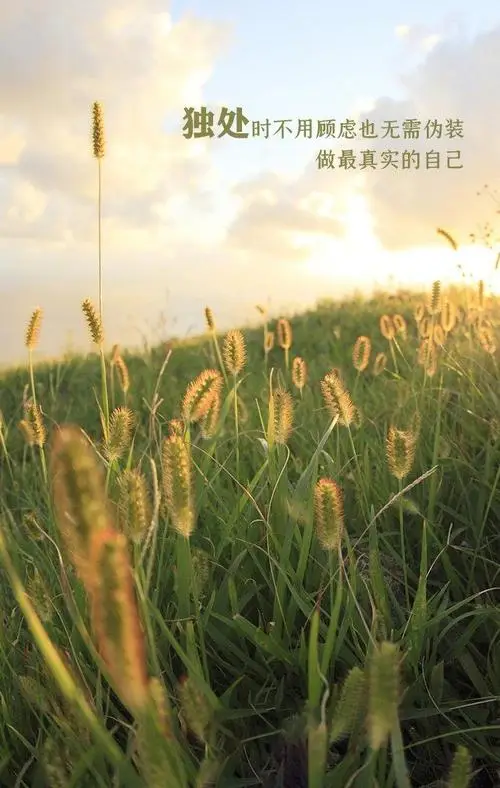 沙漏验机使用方法_沙漏验机_沙漏验机原理