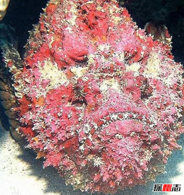 伪声_伪声怎么练_伪声教程