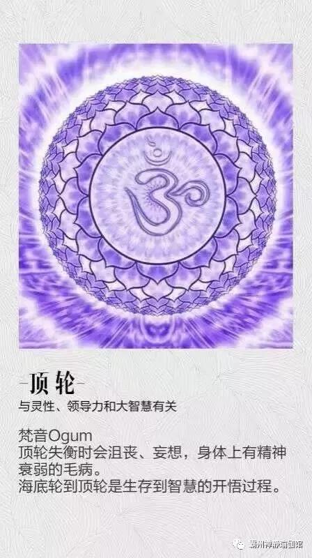 明川是谁_小见川千明_小见川千明退出声优界