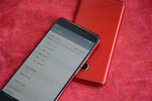 vivo查型号在哪里_手机型号哪里看vivo_vivo手机怎么查看型号