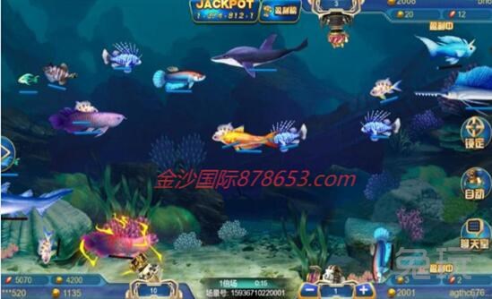 手机商业经营游戏_天时达手机游戏经营_天时达t719手机怎么样