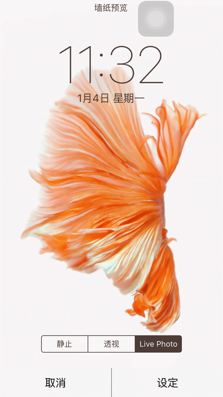 苹果壁纸动态效果怎么设置_壁纸动态苹果设置教程_怎么设置苹果动态壁纸