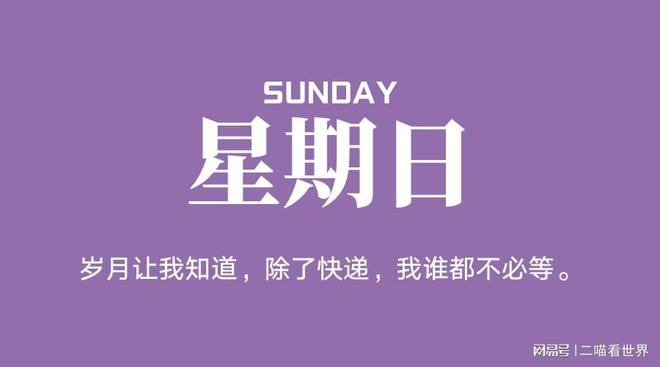 法制宣传月是12月的第几号_法制宣传月是哪个月_法制宣传日是几月几日