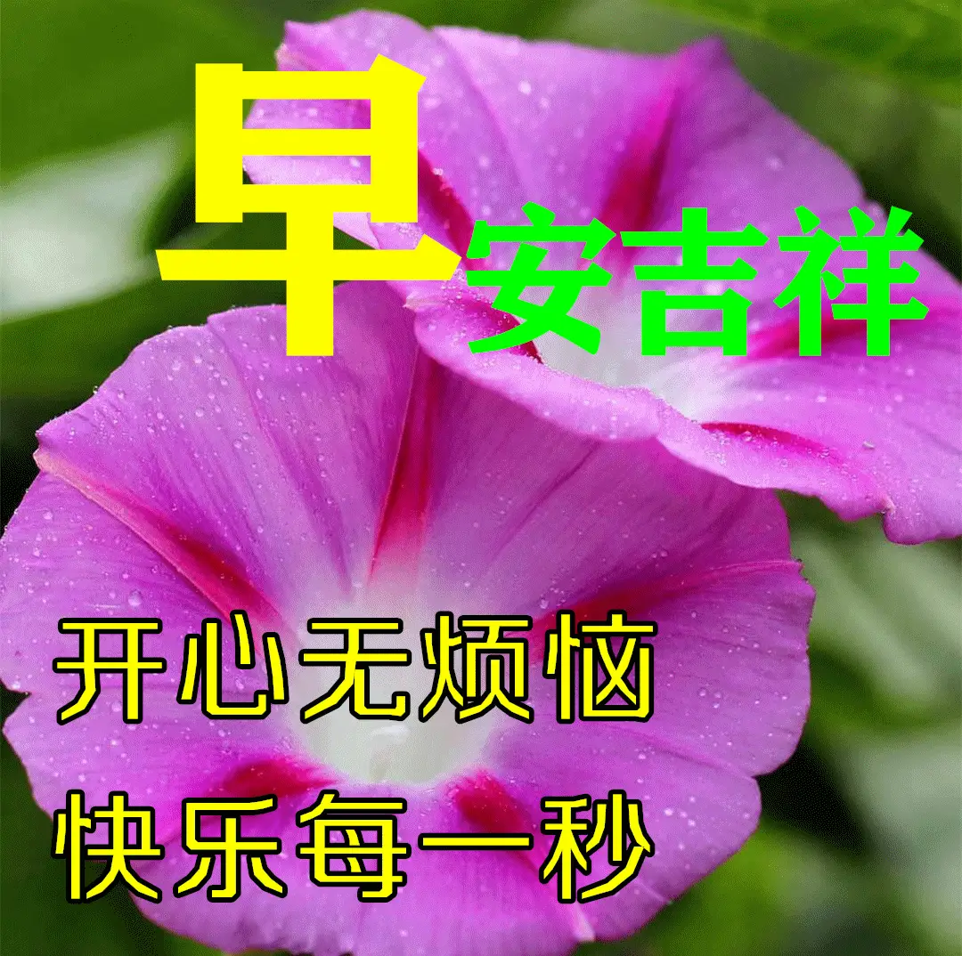 法制宣传月是哪个月_法制宣传日是几月几日_法制宣传月是12月的第几号