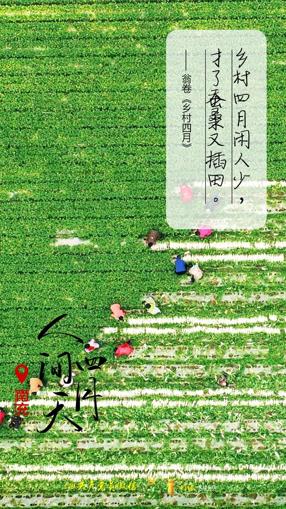 四月七日_四月七日_七日世界