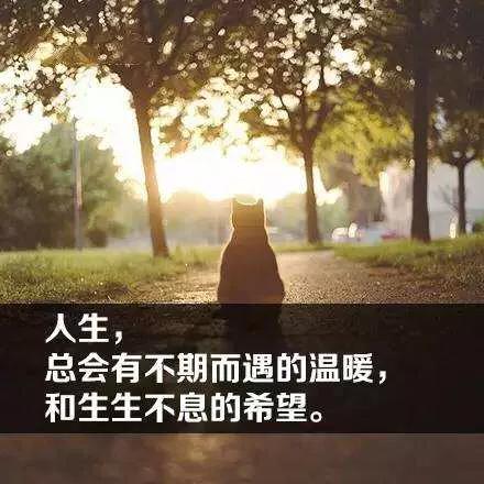 雪奈_奈雪的茶加盟官方网_奈雪的茶