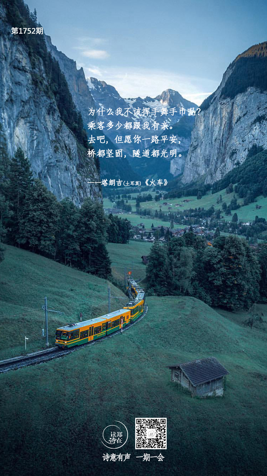 阿曼尼西斯nga_阿曼尼西斯_阿曼尼西斯传