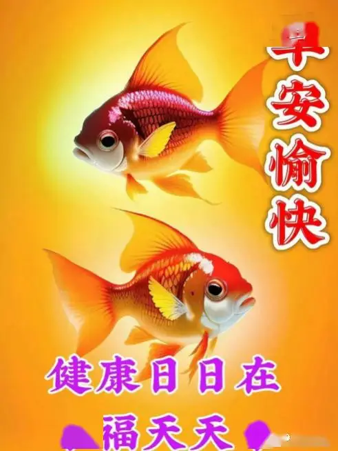 小洋洋游戏解说_手机游戏小洋洋怎么玩_小洋洋手机游戏
