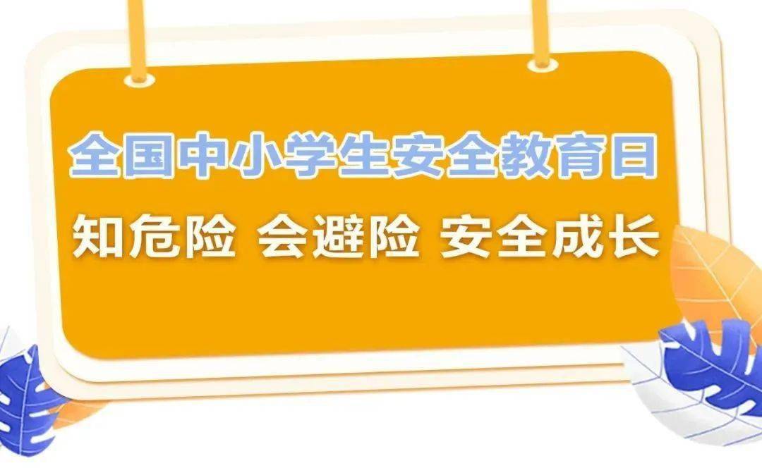 小学安全教育中期报告_小学安全教育中队活动记录表_中小学安全教育日