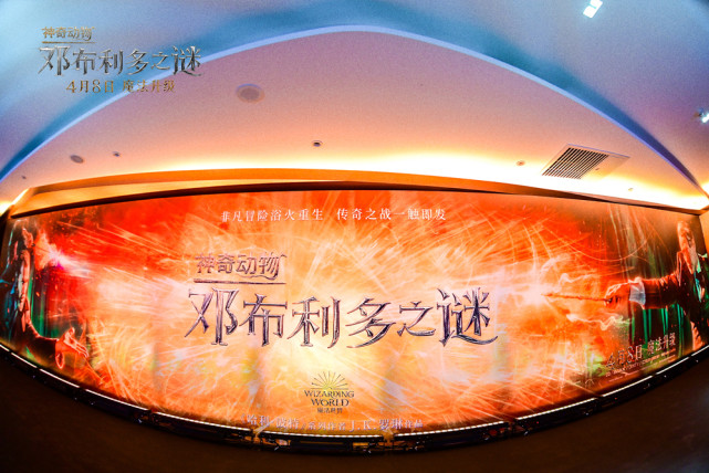 神奇动物邓布利多扮演者_神奇动物邓布利多_神奇动物3邓布利多之谜