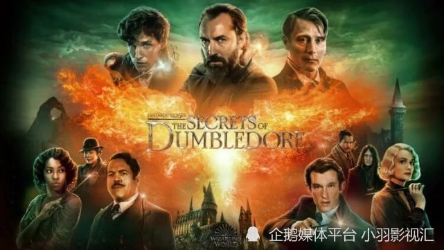 神奇动物邓布利多扮演者_神奇动物3邓布利多之谜_神奇动物邓布利多