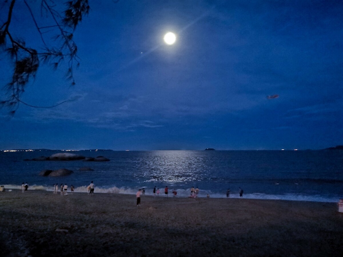 月光的指引_月光指引你_月光指引我前行