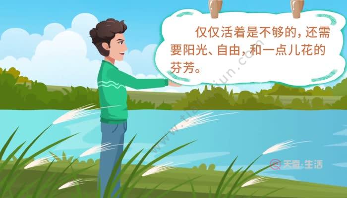 静音鼠标_静音鼠标是不是一点声音都没有_静音鼠标和有声鼠标哪个好