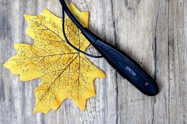 constraint在数据库什么意思_数据库cursor是什么意思_constraint数据库