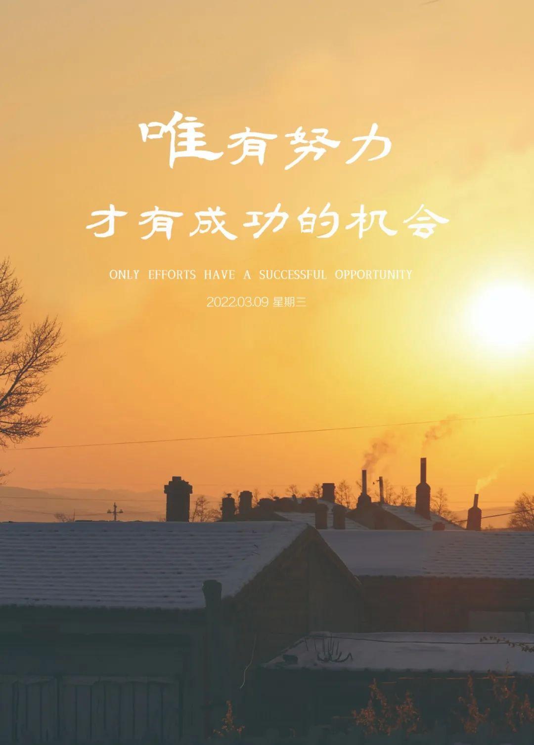 隐形小游戏_隐形手机游戏养成_隐形养成手机游戏有哪些