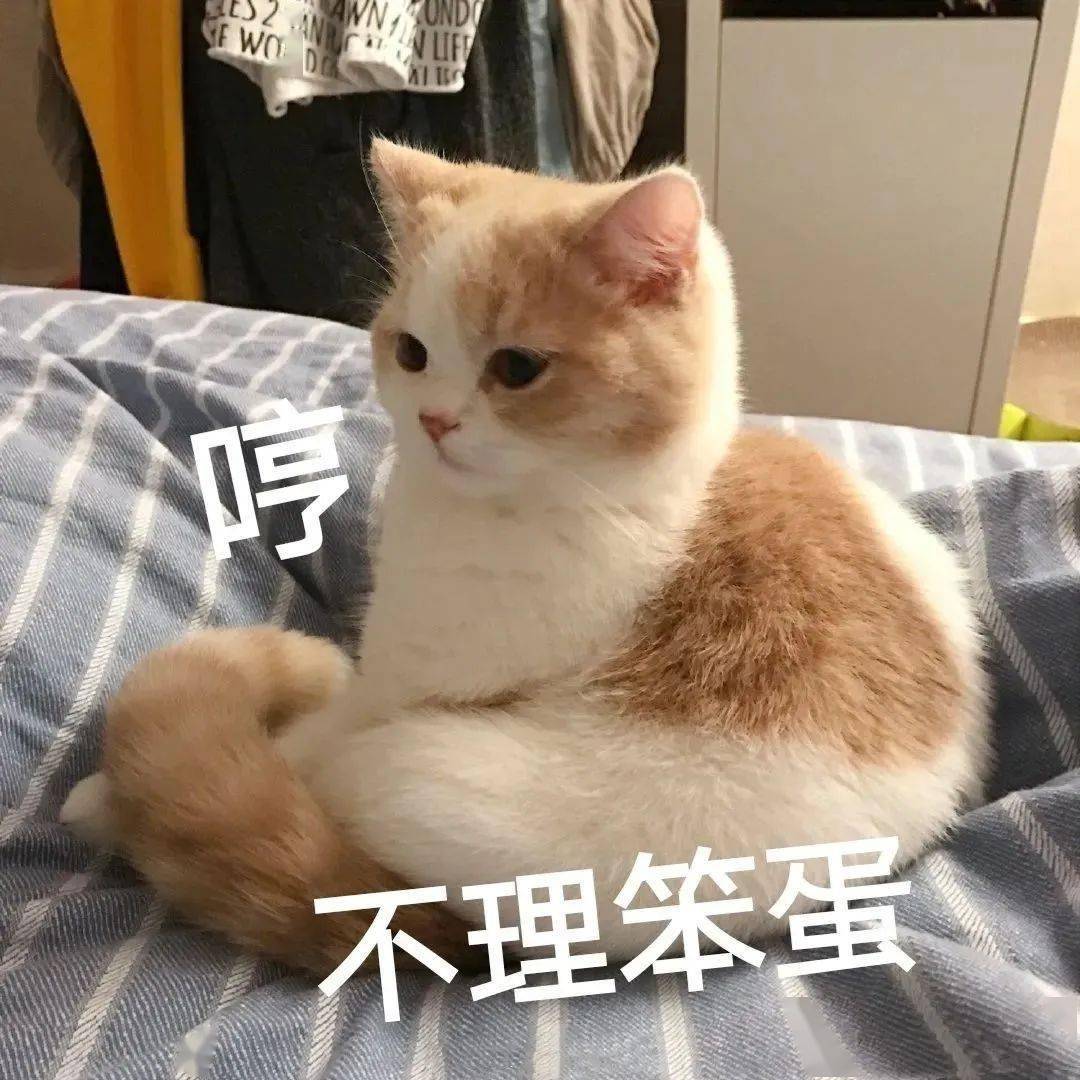 规蜜_规蜜_规蜜