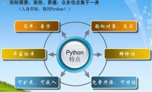 电影源代码深度解析_python影视源码_python电影天堂源码