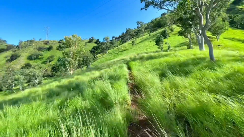 砂狼白子高清壁纸_砂狼白子_砂狼白子头像